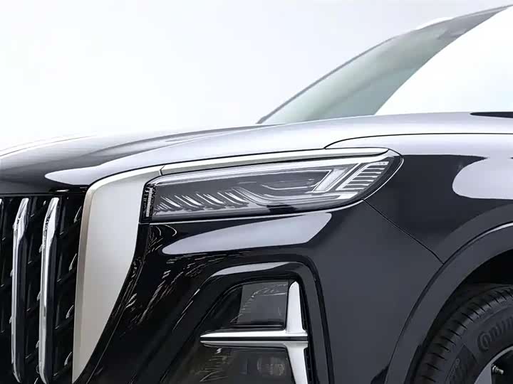 Фото 4 - Hongqi HS5