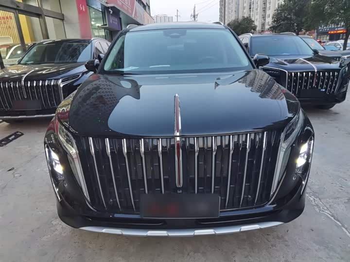 Фото 3 - Hongqi HS7 Hybrid