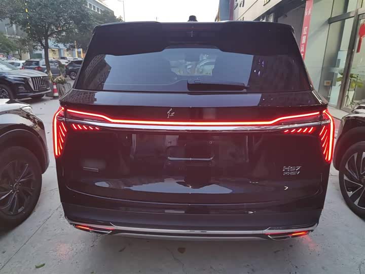 Фото 6 - Hongqi HS7 Hybrid