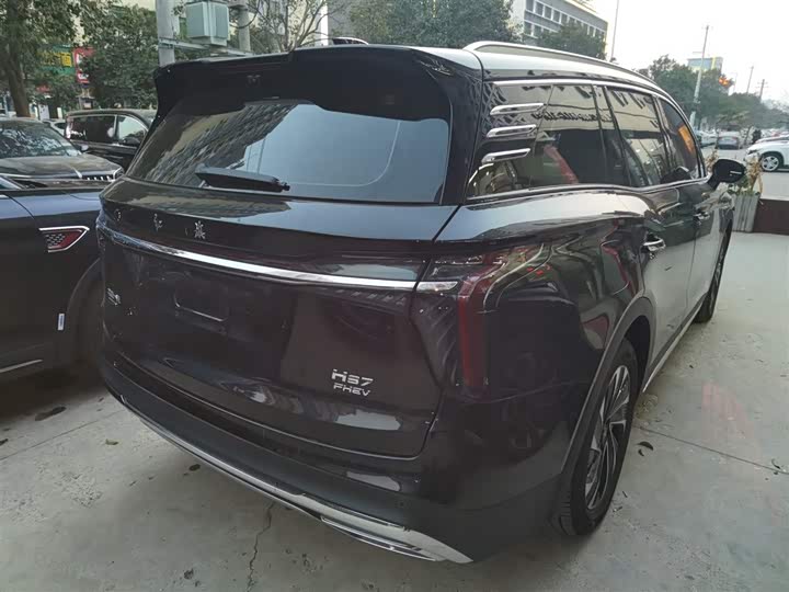 Фото 7 - Hongqi HS7 Hybrid