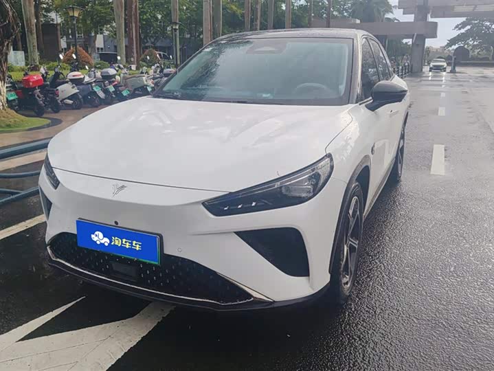 Фото 1 - Hozon L