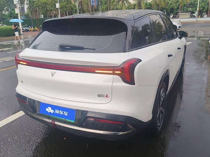 Фото 3 - Hozon L