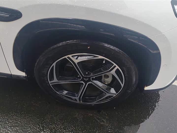 Фото 6 - Hozon L