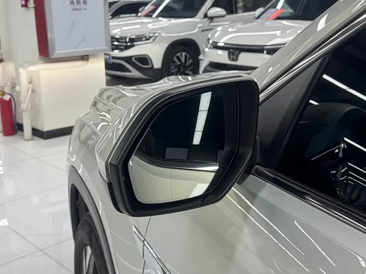 Фото 6 - Volkswagen Teramont Pro