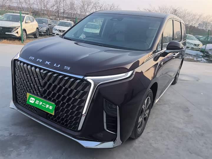 Фото 2 - Maxus G90