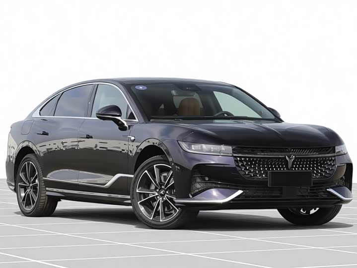 Фото 2 - Voyah Passion