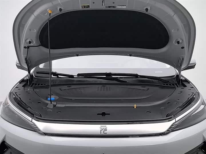 Фото 6 - BYD Yuan Plus