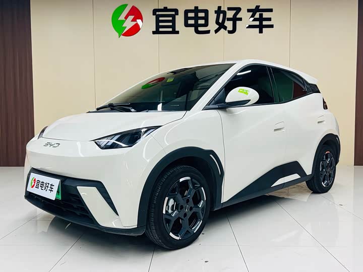 Фото 1 - BYD Seagull