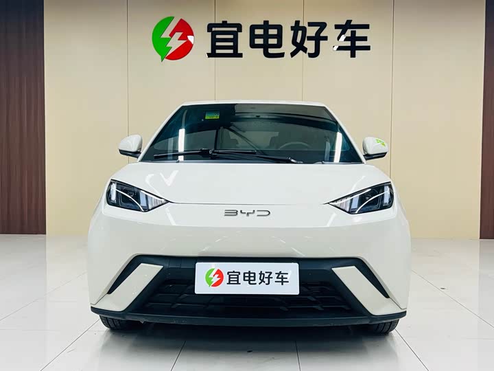 Фото 2 - BYD Seagull