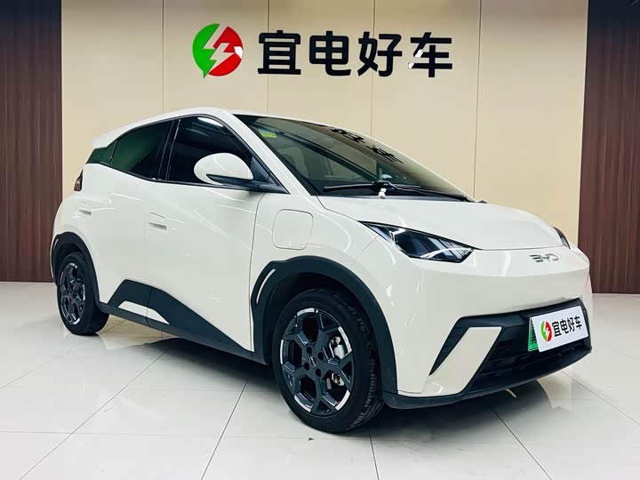 Фото 3 - BYD Seagull