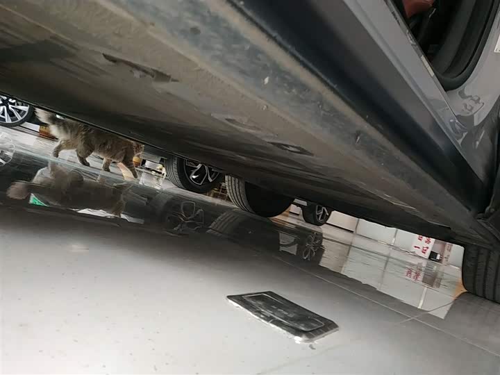 Фото 6 - Nio EC6