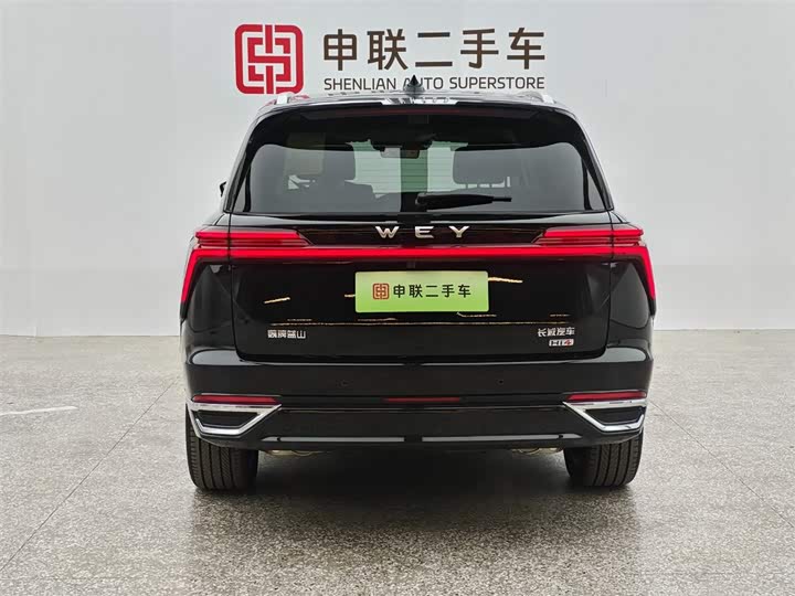 Фото 3 - Wey Lanshan