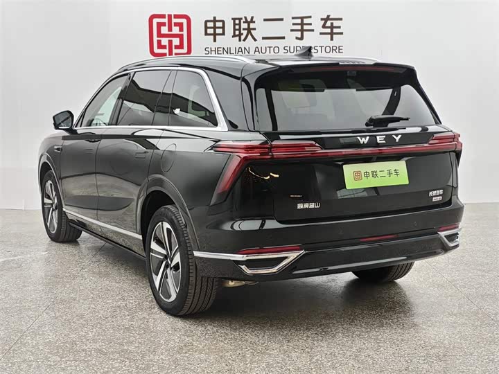 Фото 4 - Wey Lanshan