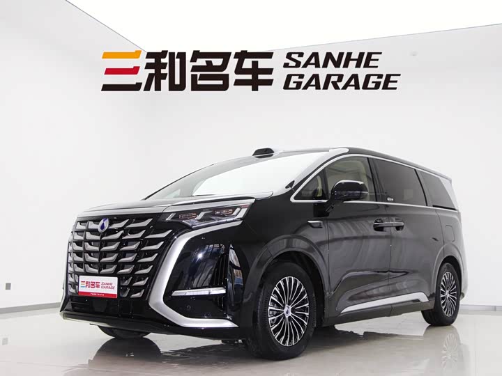 Фото 1 - Denza D9