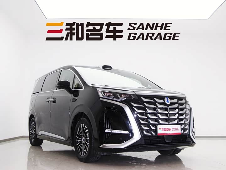 Фото 2 - Denza D9