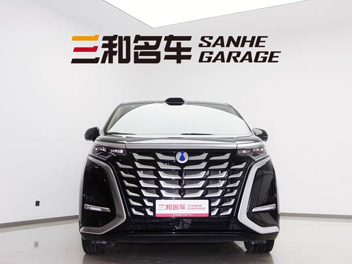 Фото 3 - Denza D9