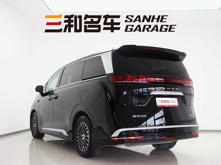 Фото 7 - Denza D9