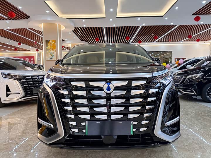 Фото 2 - Denza D9