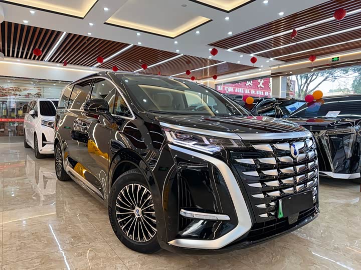 Фото 3 - Denza D9