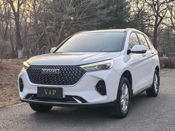 Фото 1 - Haval M6