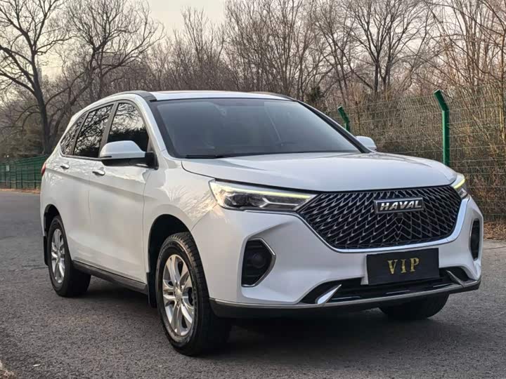 Фото 3 - Haval M6