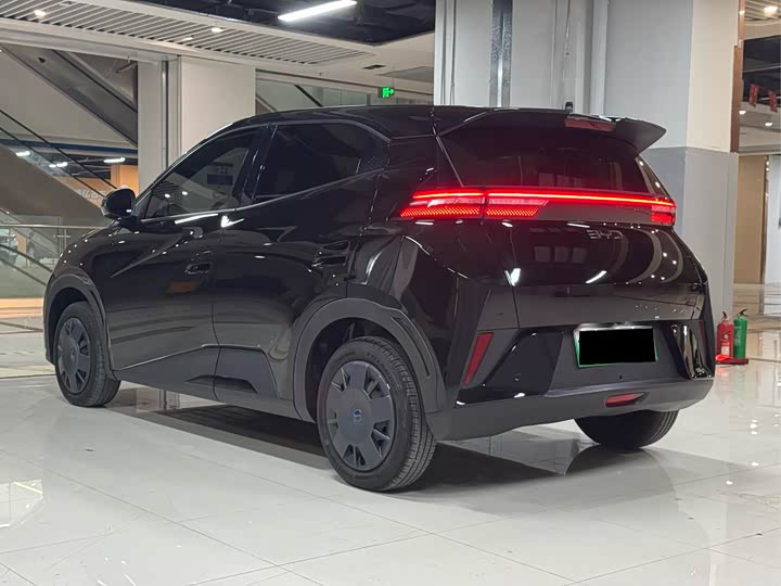 Фото 5 - BYD Seagull