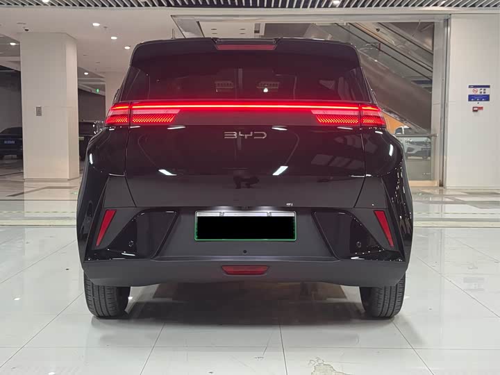 Фото 6 - BYD Seagull