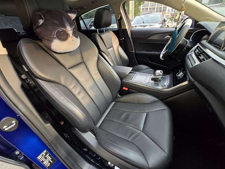 Фото 4 - Hongqi H5