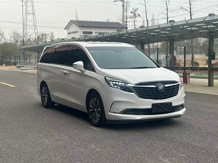 Фото 2 - Buick GL8 ES