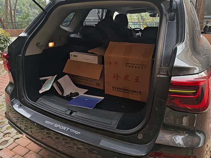 Фото 4 - Roewe RX5