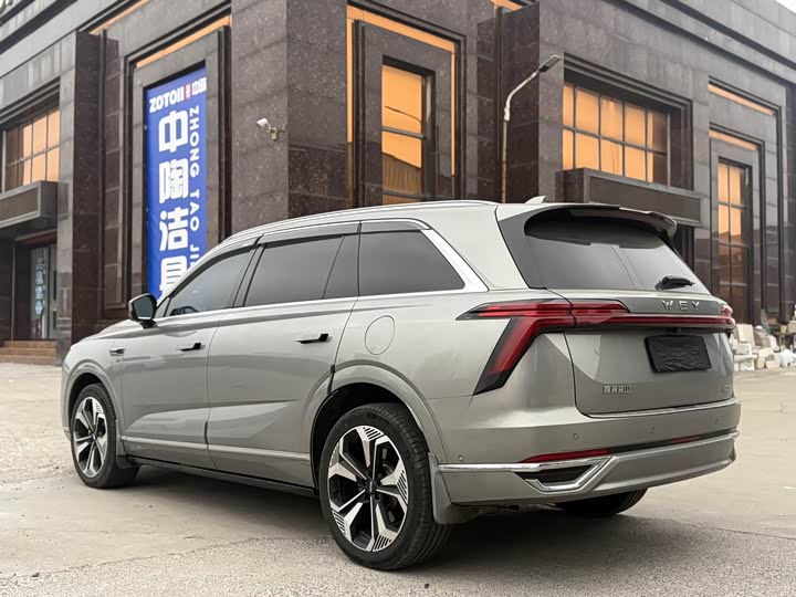 Фото 4 - Wey Lanshan