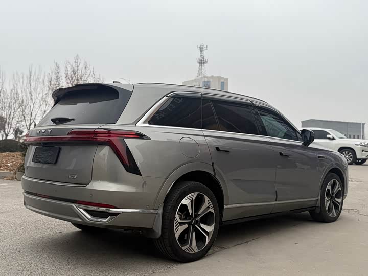 Фото 6 - Wey Lanshan