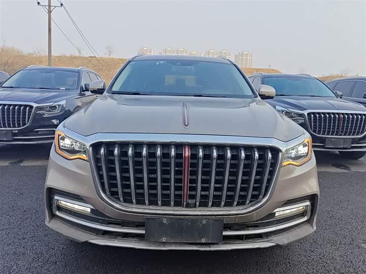 Фото 3 - Hongqi HS7