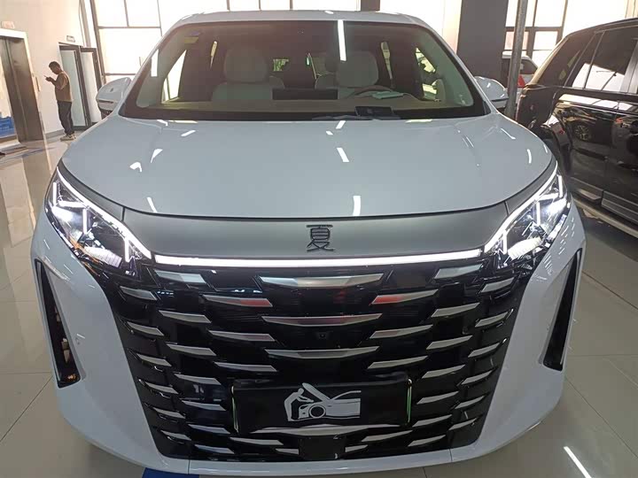 Фото 3 - BYD Xia