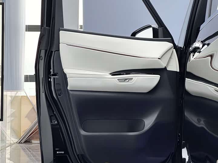 Фото 9 - Lexus LM