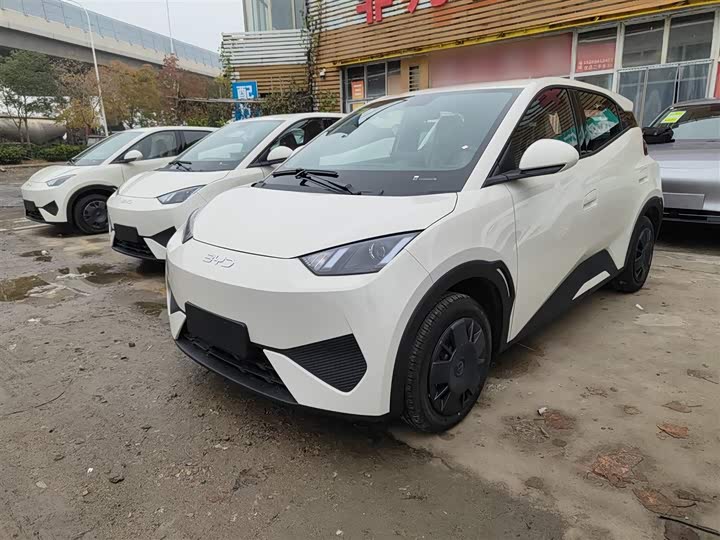 Фото 2 - BYD Seagull