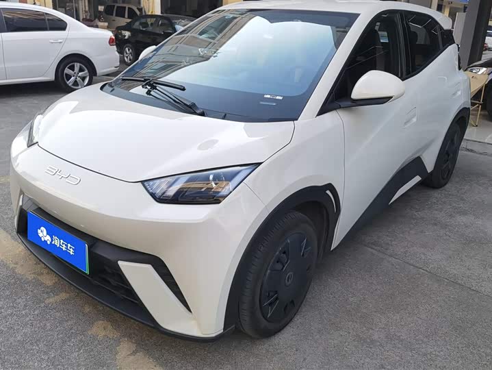 Фото 1 - BYD Seagull