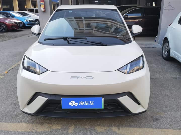 Фото 2 - BYD Seagull