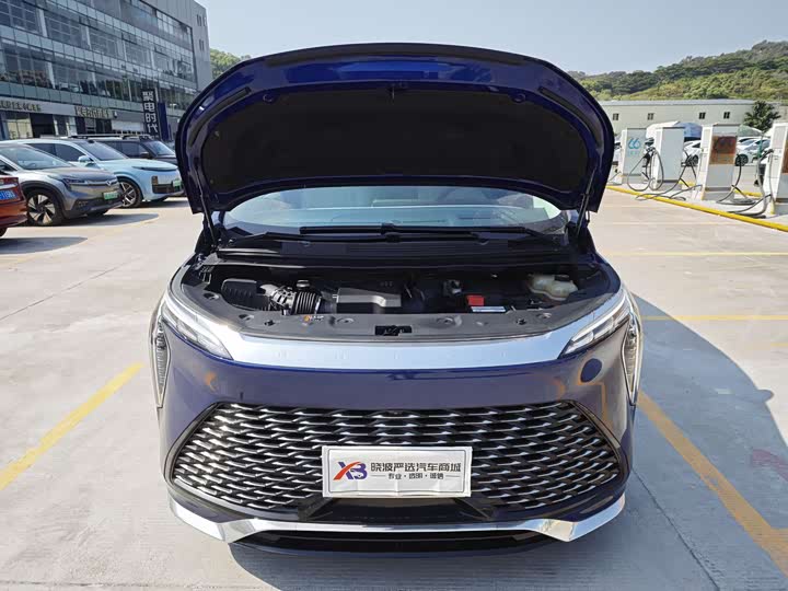 Фото 8 - Buick GL8 Century