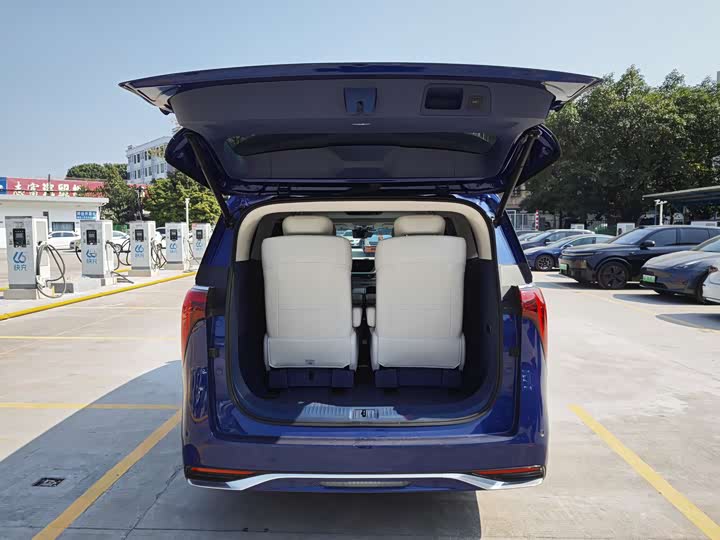 Фото 9 - Buick GL8 Century