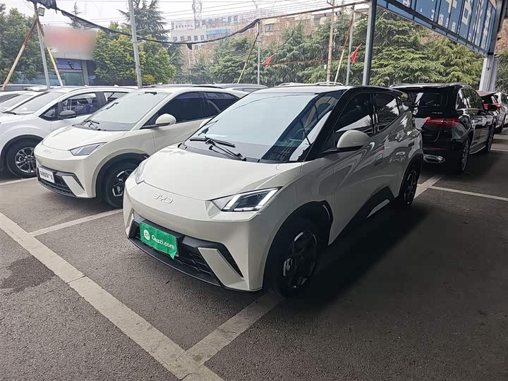 Фото 2 - BYD Seagull