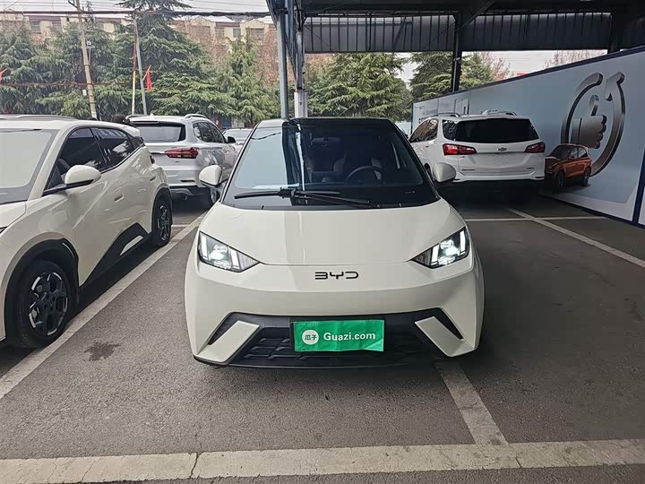 Фото 3 - BYD Seagull