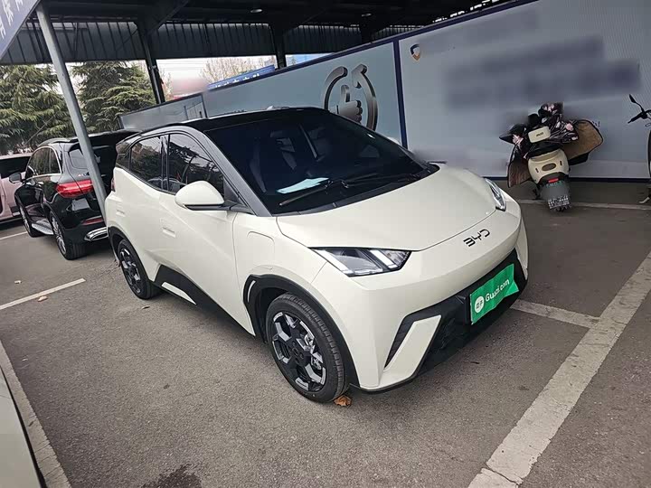 Фото 4 - BYD Seagull