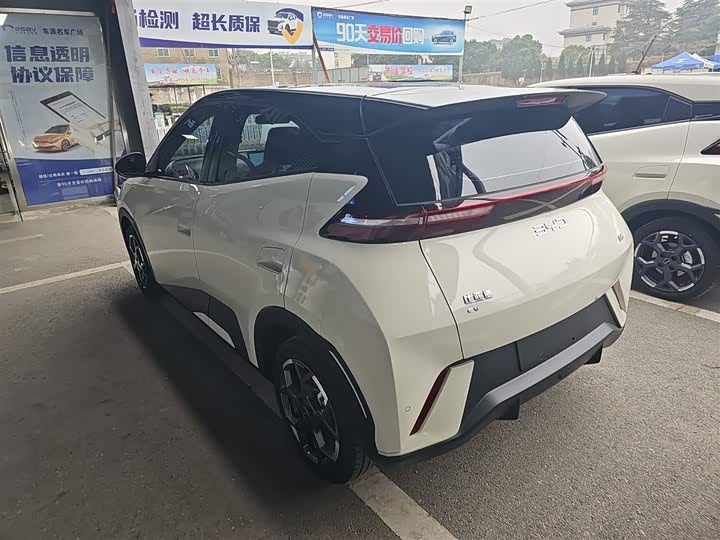 Фото 5 - BYD Seagull