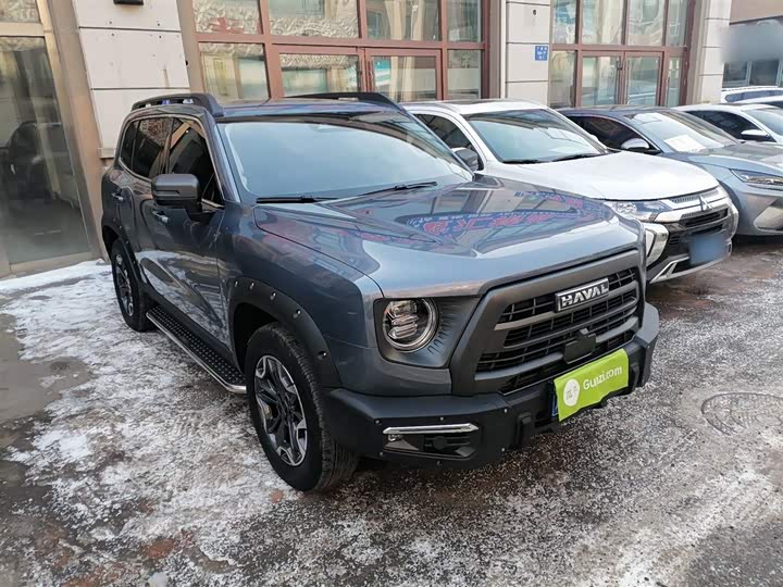 Фото 4 - Haval Dargo