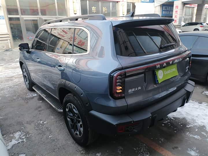 Фото 5 - Haval Dargo