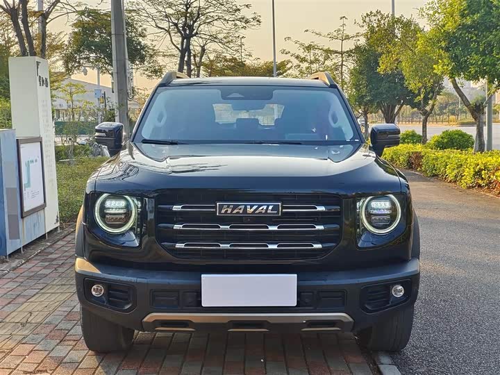 Фото 2 - Haval Dargo