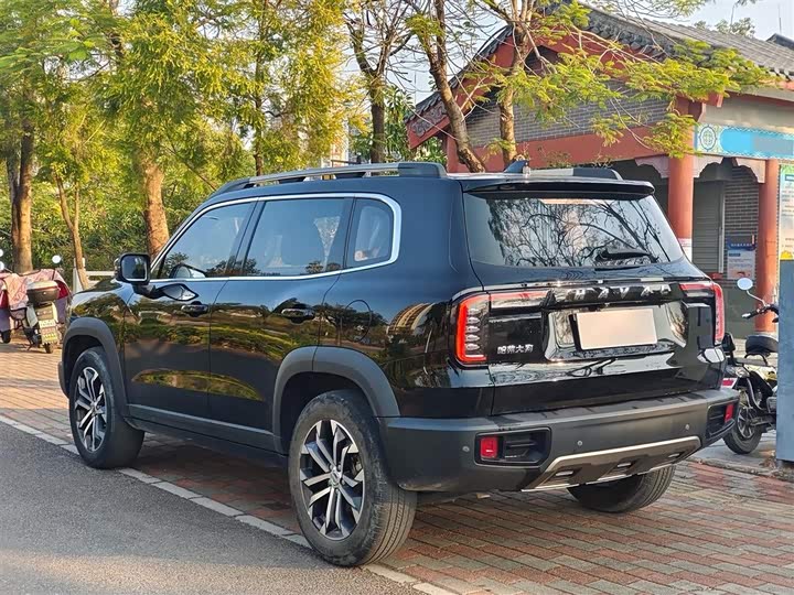 Фото 3 - Haval Dargo