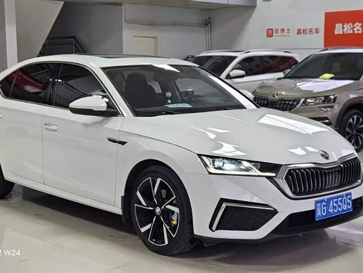 Фото 3 - Skoda Octavia Pro