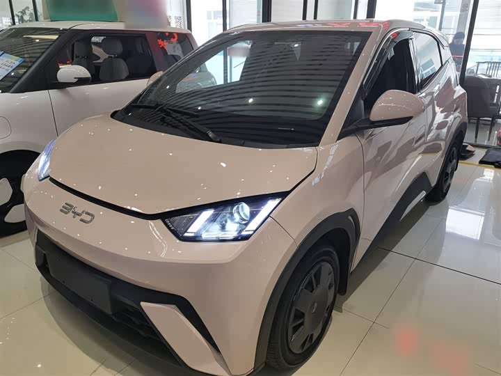 Фото 1 - BYD Seagull